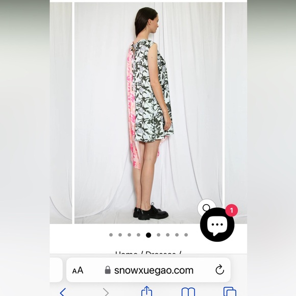 Snow Xue Gao dress Size Small - Picture 5 of 6